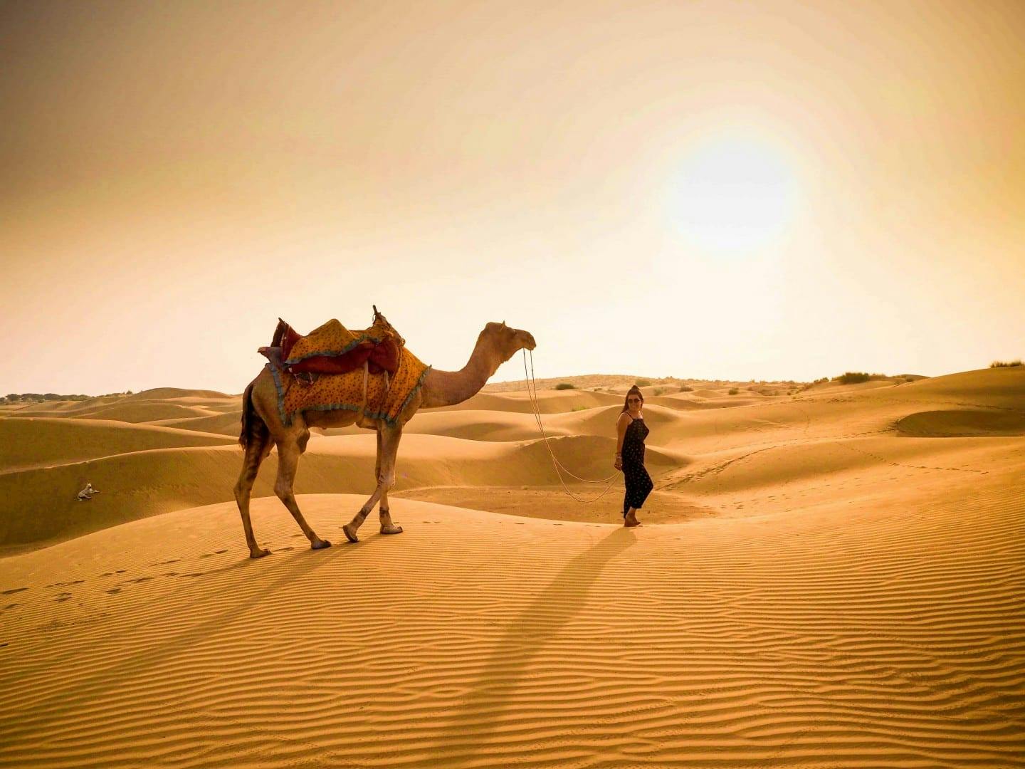 Embark on a camel safari in the Thar Desert
